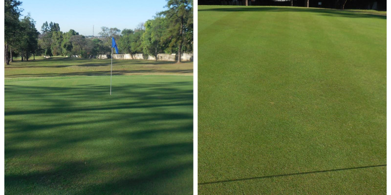 Clube de Golf de Campinas