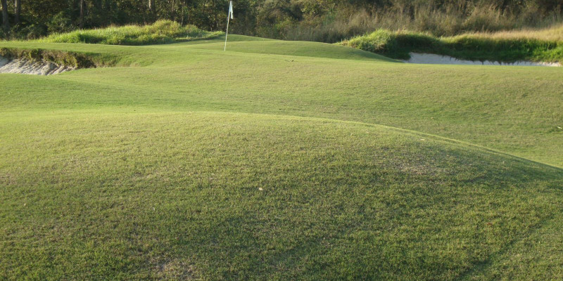 Fazenda Boa Vista Campo 2- Arnold Palmer- Porto Feliz - SP