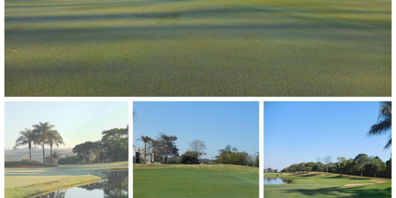 Royal Golf Residence